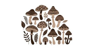 An Illustration of Assorted Fungi with Different Shapes and Sizes Growing in the Wild vector