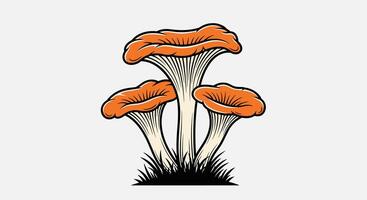 A Guide to Edible Mushroom Varieties Exploring Different Mushrooms Foraging and Cooking Tips vector