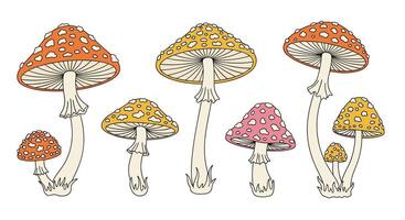 A Colorful Array of Mushrooms on a White Background in Illustration Form vector