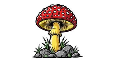 A Fly Agaric Mushroom in Grassy Patch on Rocks with White Background vector