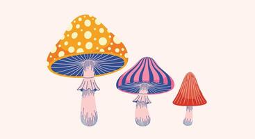 Exploring the Wonderful World of Fungi A Detailed Guide to Mushroom Identification vector