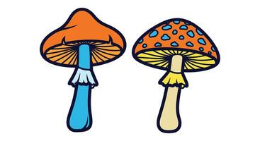 A Guide to Identifying Safe and Poisonous Mushrooms in Your Local Woodlands vector
