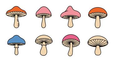 Colorful Mushrooms A Guide to Identify Different Types of Mushrooms in the Forest vector