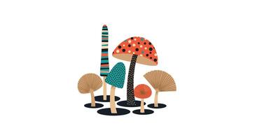 A Colorful and Delightful Variety of Mushrooms Growing Together in a Forest Scene vector