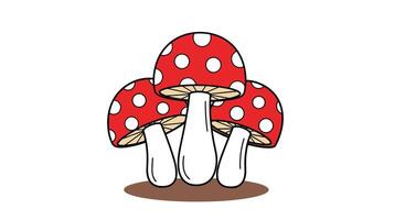 Enchanting Forest Fungi A Delicate Exploration of Amanita Mushrooms and Woodland Ecosystem vector