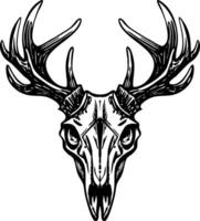 A vintage style illustration showing an elk skull vector