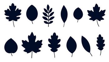 Collection of isolated autumn leaves in various shapes and silhouettes on white background. Includes maple, oak, birch and other fall leaves for seasonal and botanical design vector