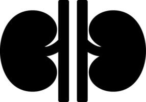 Kidney Function Health Check vector