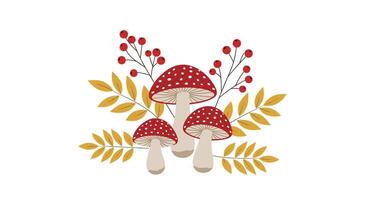 Mushrooms and berries on a white background vector