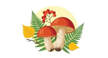 Two red mushrooms with leaves and berries on a white background vector