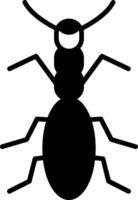 Flexible Rove Beetle vector