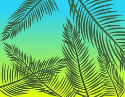 Silhouettes of palm leaves on the background of the summer sky. Design of rest with the atmosphere of the tropics and relaxation. vector