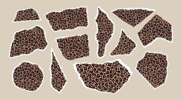 Set of pieces of paper with a leopard print vector