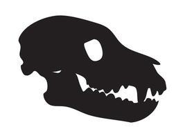 Black silhouette of wolf skull with sharp teeth and long snout, isolated on white background, graphic illustration. Concept of wild canine skeleton, predator skull, nature and hunting design element vector