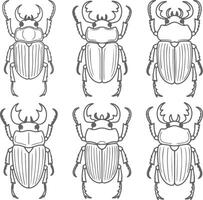 Six Gray Silhouette Drawings of Rhinoceros Beetles Detailed Line Art Illustrations Insect Collection Entomology Study Guide vector