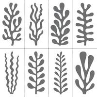 Eight Gray Abstract Seaweed Silhouette Designs on White Background Simple Botanical Illustrations Set of Organic Forms for Textile Print vector