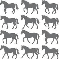 Twelve Grey Horse Silhouettes Walking in Various Gaits a Collection of Equine Side Profiles in a Simple Style vector