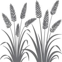 Gray Silhouette of Tall Grass and Wheat Stalks on White Background Simple Nature Illustration Botanical Design Element vector
