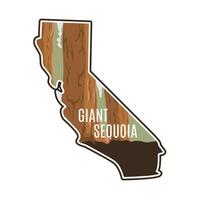 Scenery of Giant Sequoia Trees in California Perfect for Apparel, Sticker, etc vector