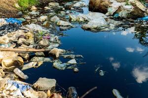 The lake and the shore are littered with plastic garbage. Lake covered with floating garbage and plastic waste. Environment pollution photo