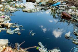 Trash and plastic bottles in water. Plastic waste in the river and lake. Environment pollution. Showing the problem of water pollution. photo