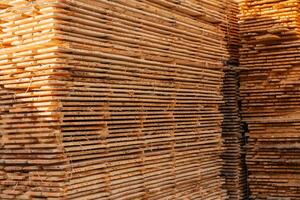 Wooden planks are neatly stacked in a lumberyard, illuminated by the warm glow of sunset. The arrangement showcases various textures and shades of wood photo