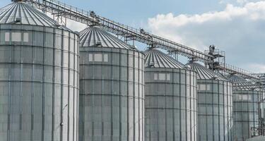 Several large grain silos stand in a row at an agricultural site, showcasing their metallic structure and clear blue sky above them during daylight hours photo