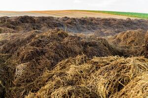 Amidst the rolling hills, large mounds of manure sit in a rural area as clouds gather above, hinting at possible rain in the late afternoon light photo
