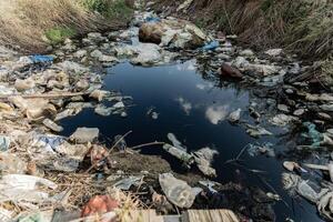 A water body is heavily polluted with plastic waste and debris, reflecting the surrounding vegetation while showing the urgent need for environmental conservation photo