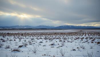 a wide snowy plain under a grey sky photo