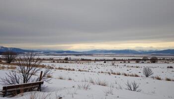 a vast snowy plain under an overcast sky photo