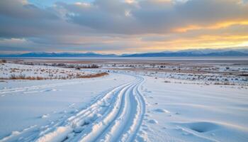 a snowy tundra stretching to the horizon photo