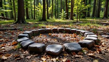 a ring of stones hidden in a forest clearing photo