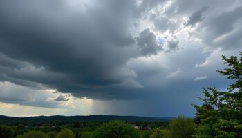 a stormy sky above a shadowy forest photo