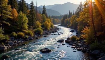 a shimmering river cutting through a forest photo