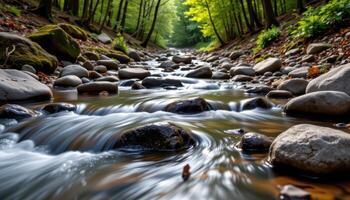 a forest stream flowing gently over smooth rocks photo