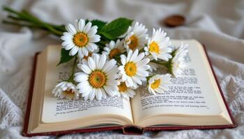 a bouquet of daisies resting on an open book photo