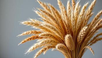 a bouquet of dried grasses and pampas photo