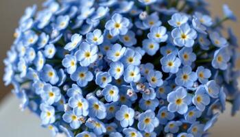 a bouquet of forget me nots in soft blue hues photo