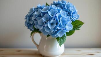 a bouquet of blue hydrangeas in a ceramic pitcher photo