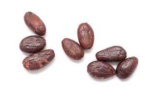 Cocoa beans, a group of chocolate nuts on a white surface photo