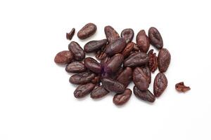 cocoa beans on white background, closeup of a cocoa bean photo