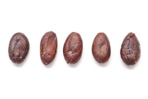 five different types of cocoa beans on a white background photo