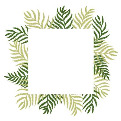 Square botany frame with ink drawn tropical leaves.Textured nature design element for invitations or greeting cards