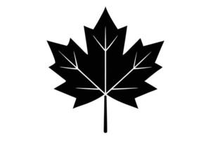 Silhouette of a Distinctive Maple Leaf with Veins on a White Background vector