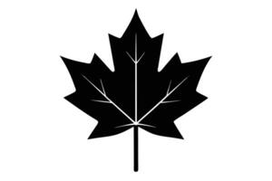 Striking Black and White Maple Leaf Detailed Illustration Design Art vector