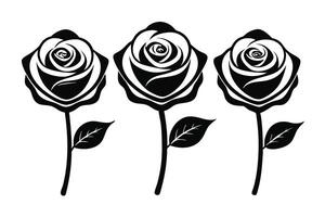 Three Black Rose Illustrations on Stems with Leaves, Isolated on White Background vector