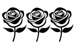 Three Black Rose Outlines on a White Backdrop, Floral Design Element vector