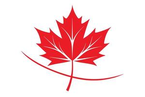 Stylized Red Maple Leaf with Curved Accent on White Background vector