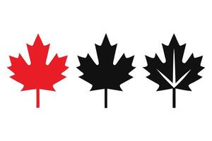 Three Maple Leaf Illustrations Red, Black Silhouette, and Veined Style on White Background vector